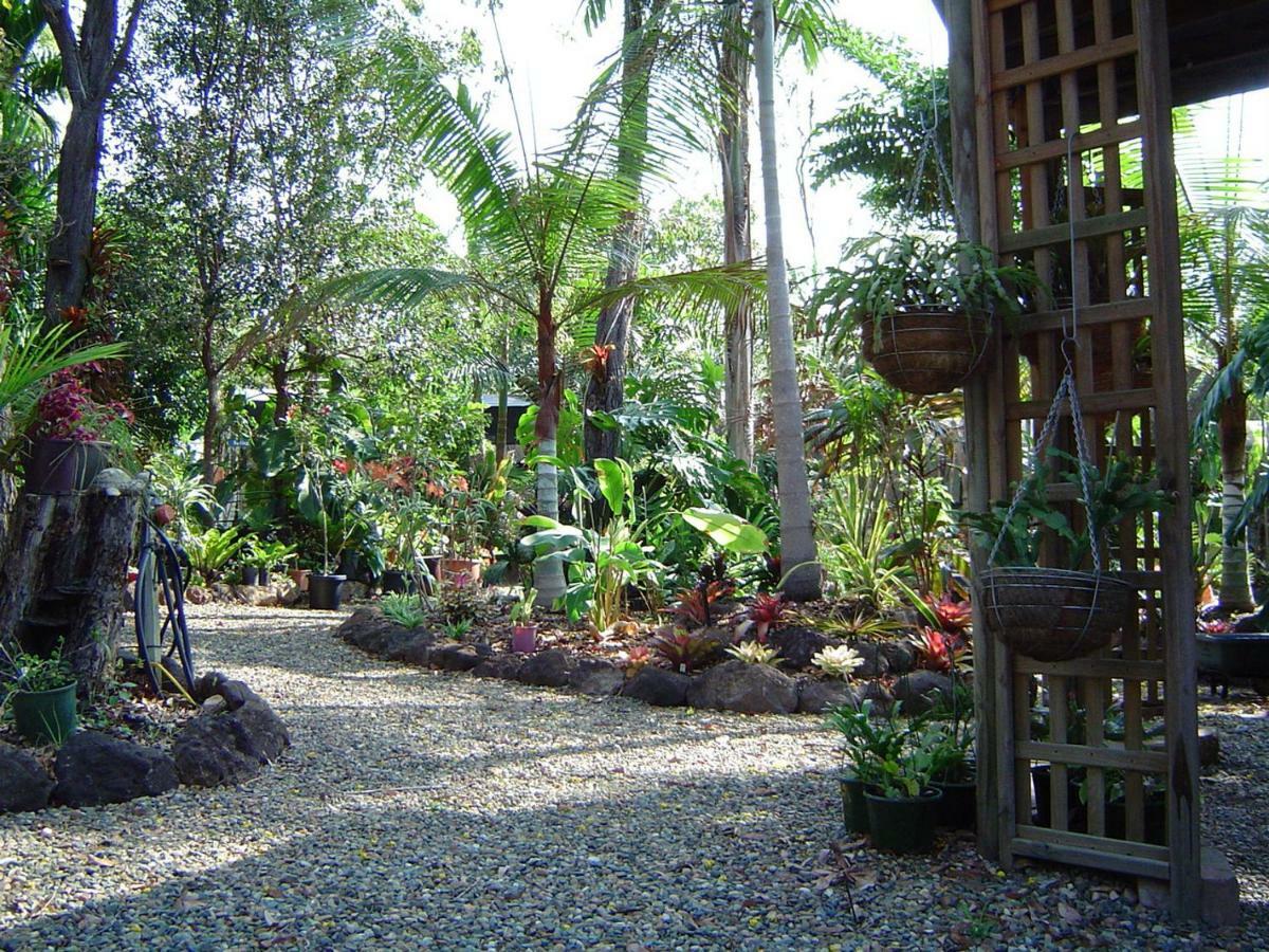 Forest Lodge: Little Villa Agnes Water Ngoại thất bức ảnh